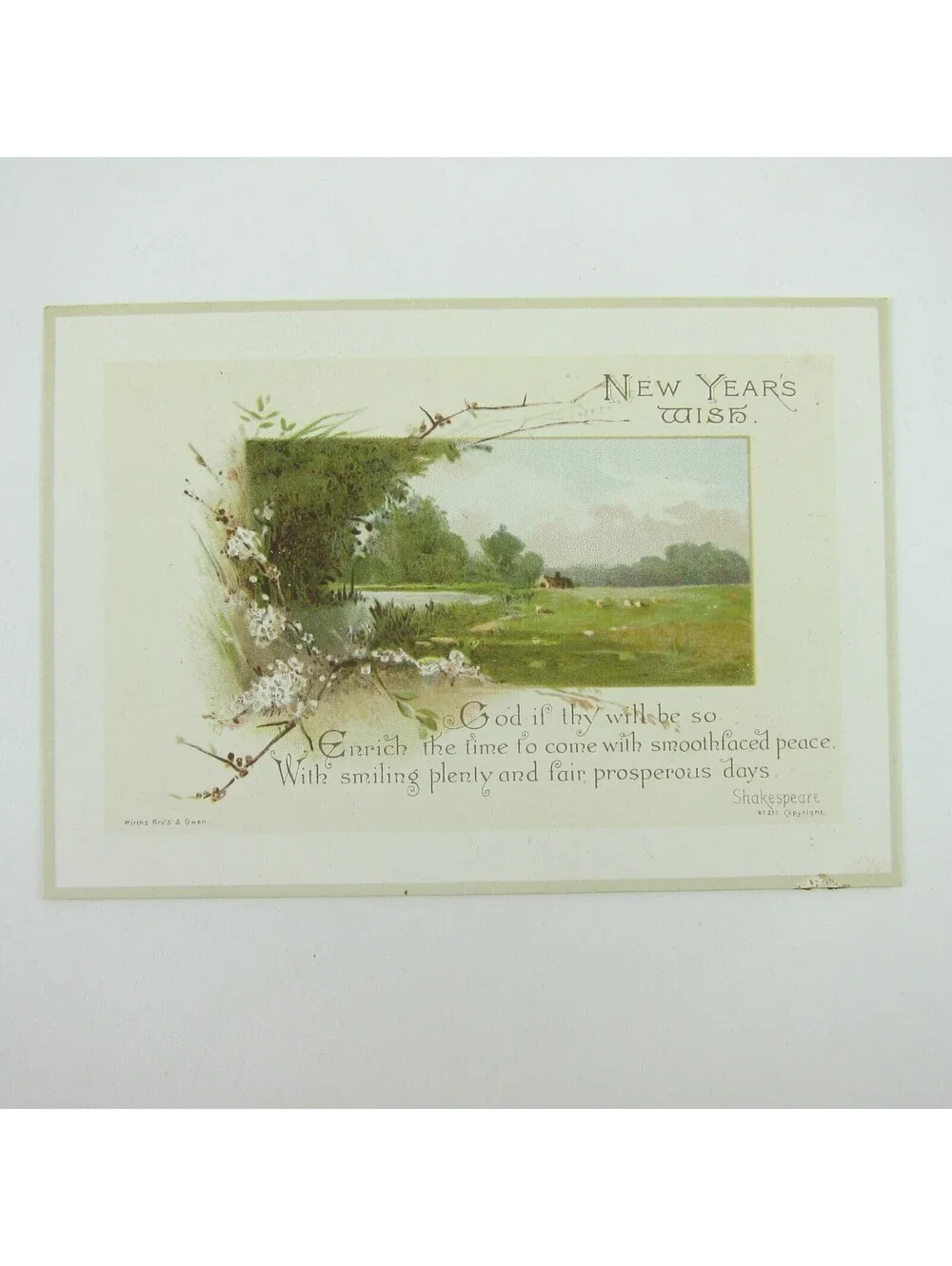 Victorian Greeting Card New Years Wirths Bros & Owen Cabin Field Flowers Antique